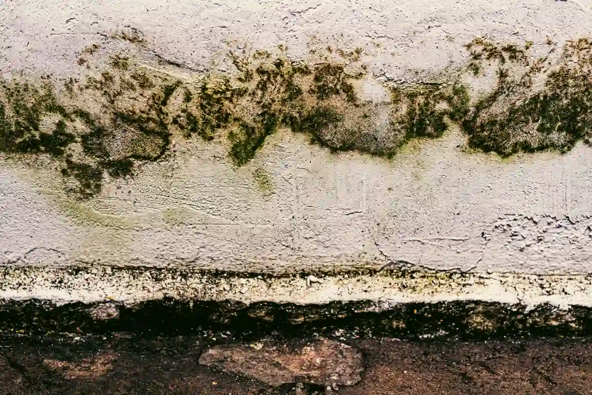 Mold Remediation