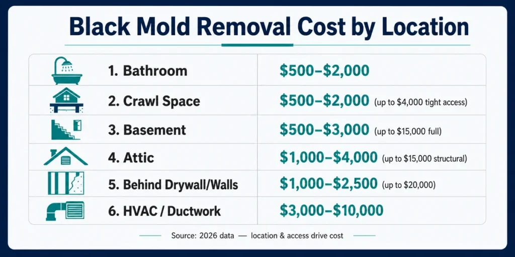 Cost Of Black Mold Removal