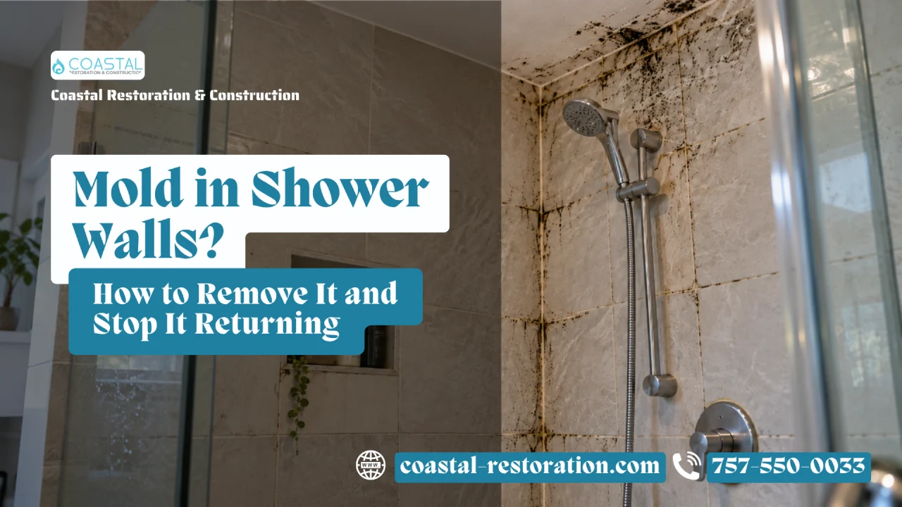 Mold in Shower
